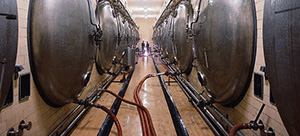 brewery-300px-cr.jpg